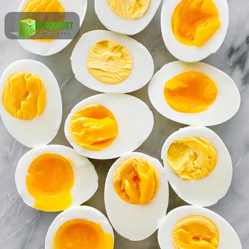 تخم مرغ جایگزین پروتئین وی