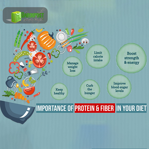 نقش پروتئین ضروری بدن