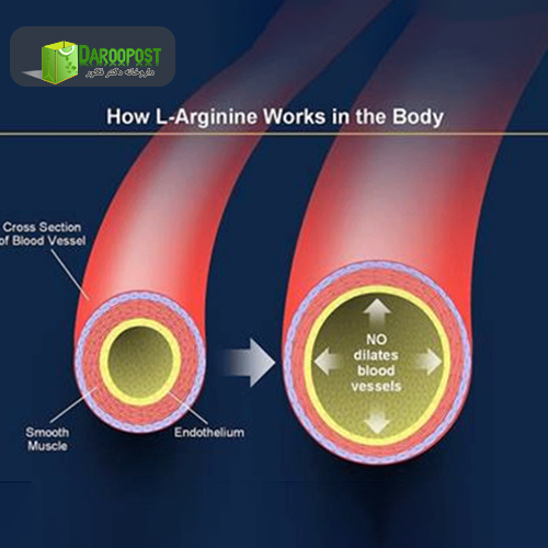 کاربرد های ال آرژنین در بدن